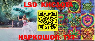 дмт Гатчина