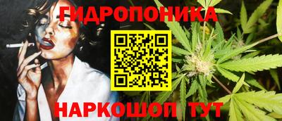 дмт Гатчина