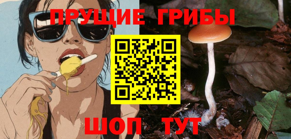 Псилоцибиновые грибы мухоморы Нальчик